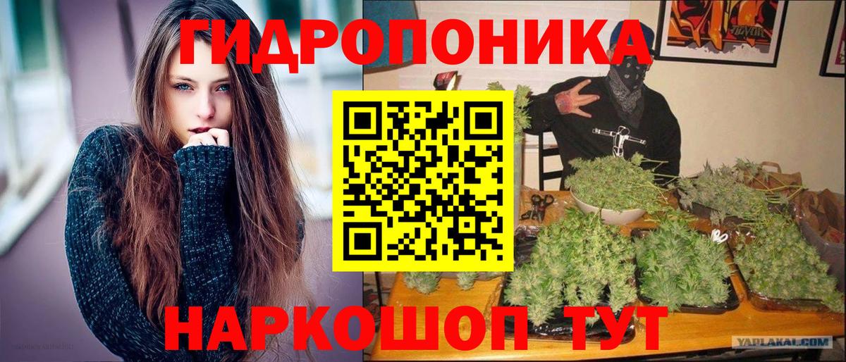 Миасс  Марихуана LSD WEED  Вход с VPN  МАРИХУАНА Ganja  Шишки марихуана OG Kush  Конопля VHQ 